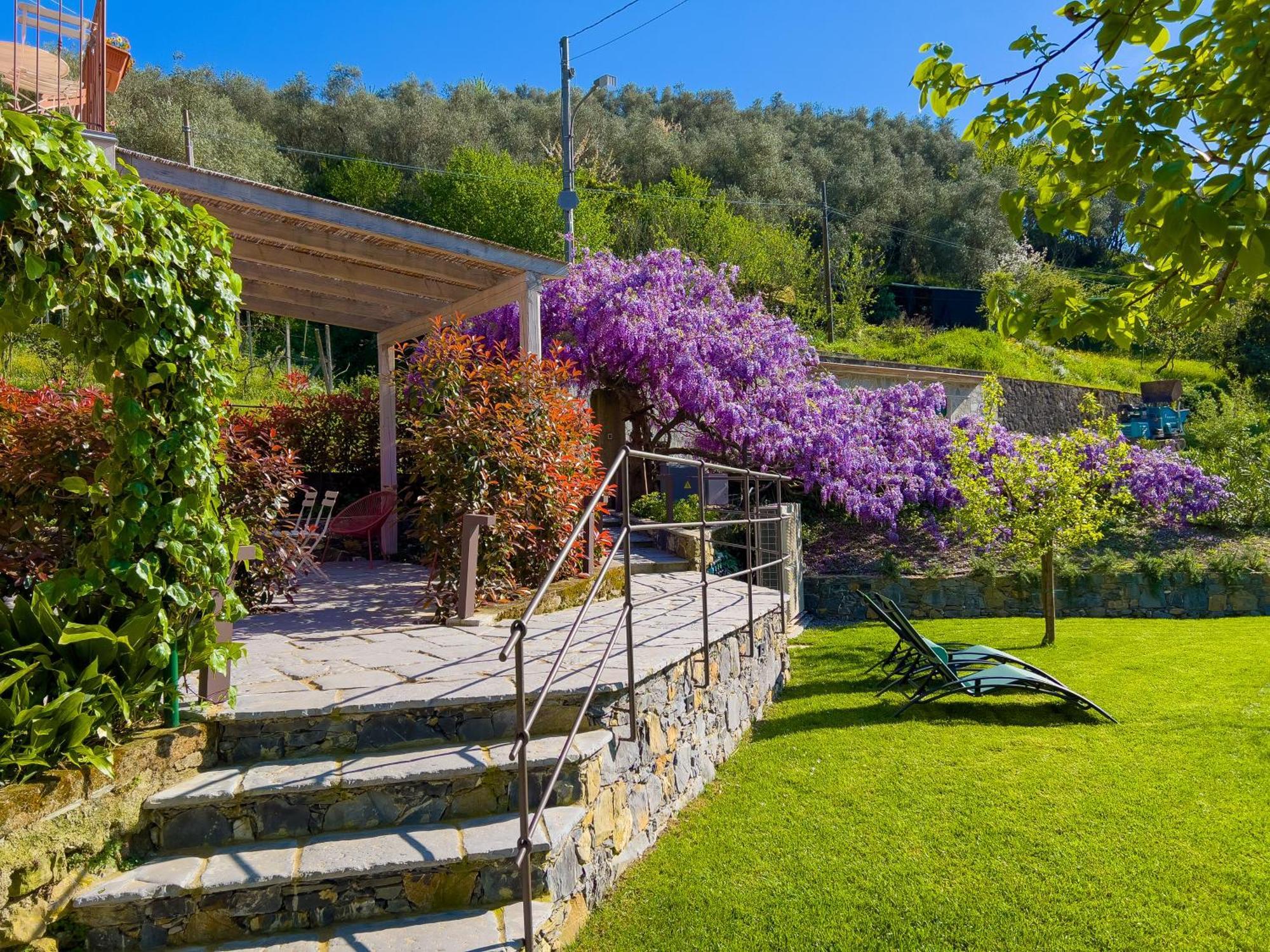 شقة La Casa Dei Glicini ليفانتو المظهر الخارجي الصورة