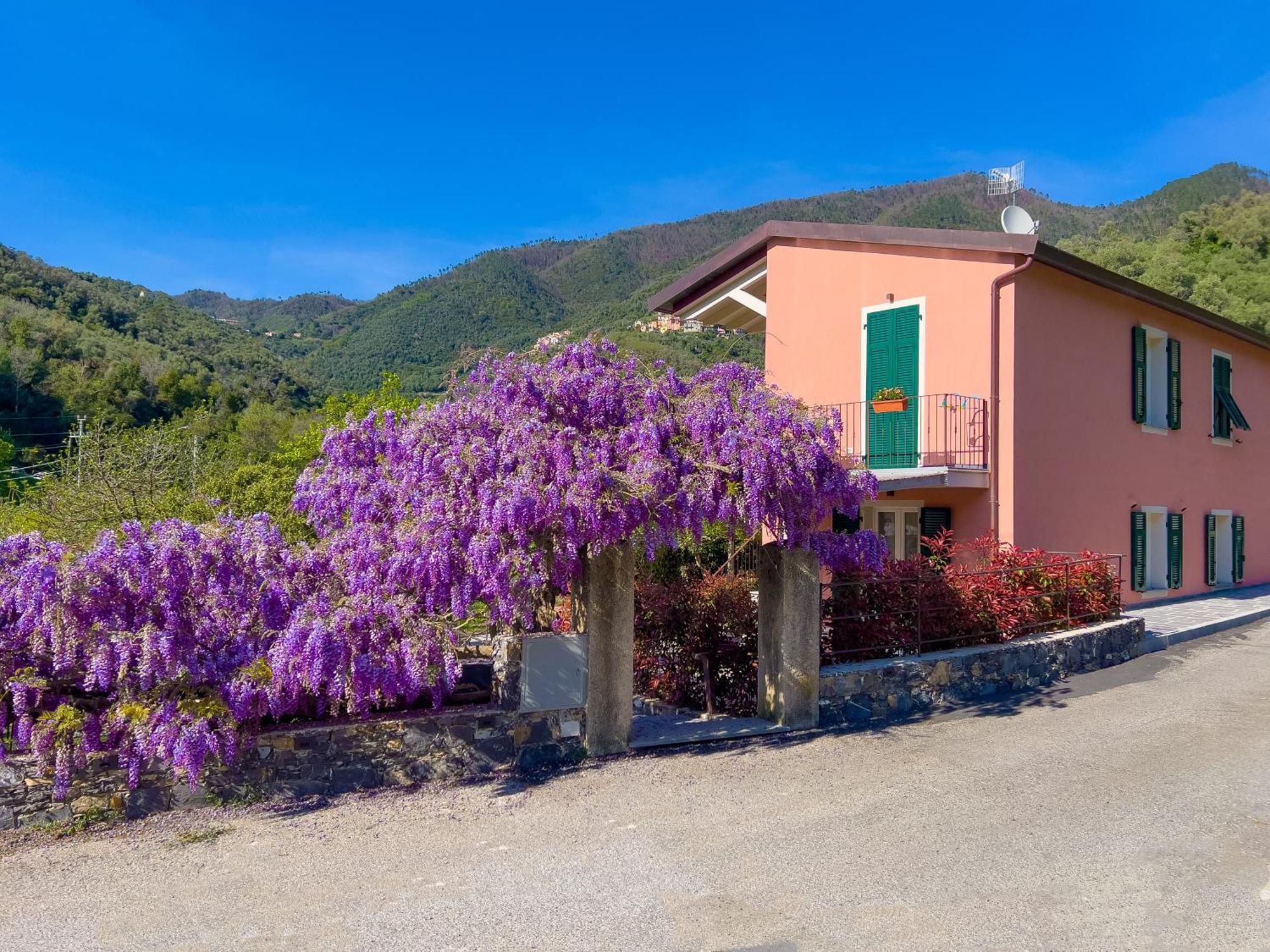 شقة La Casa Dei Glicini ليفانتو المظهر الخارجي الصورة